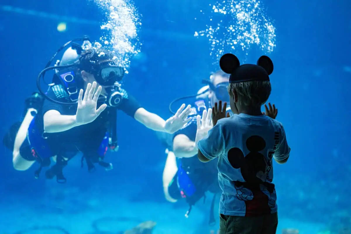 EPCOT DiveQuest